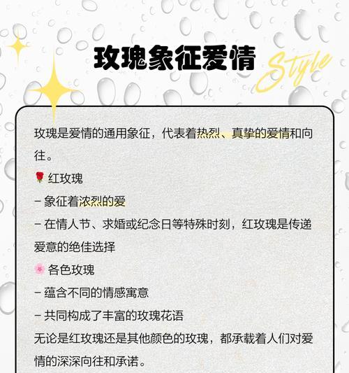 王子玫瑰的花语是什么？王子玫瑰的寓意有哪些？