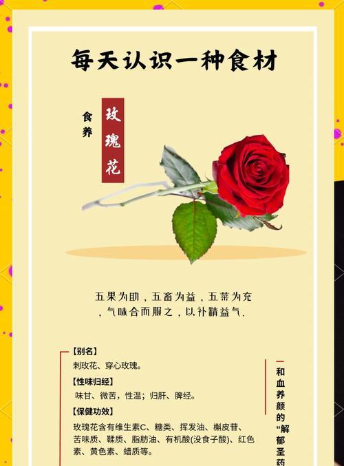 王子玫瑰的花语是什么？王子玫瑰的寓意有哪些？