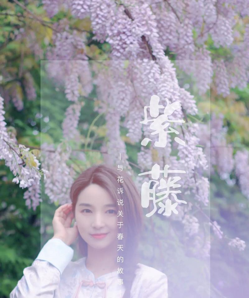 紫藤罗花的花语有哪些？紫藤罗花语的寓意是什么？