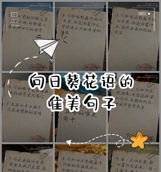 冬天的花语大全是什么？冬天花语有哪些含义？