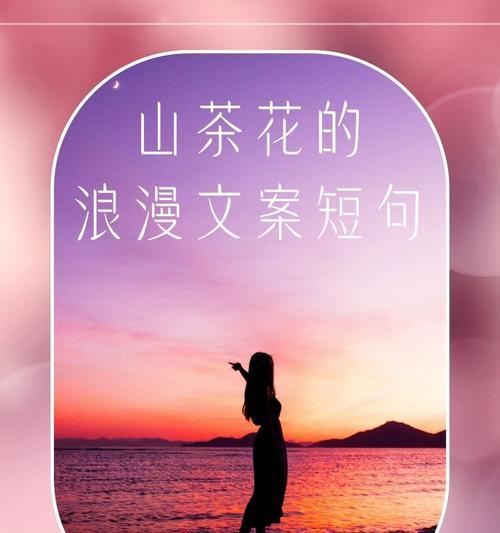 冬天的花语大全是什么？冬天花语有哪些含义？
