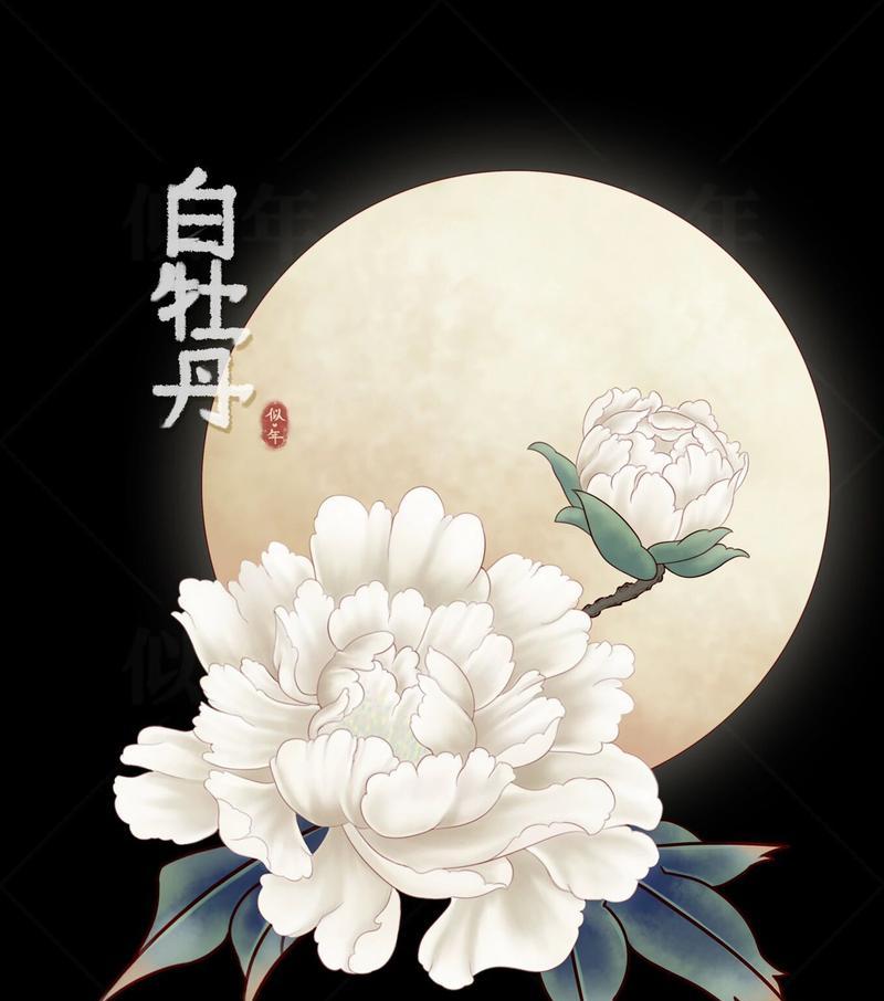 冬天的花语大全是什么？冬天花语有哪些含义？