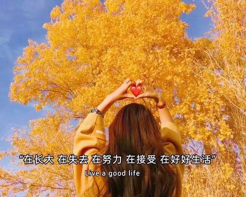 网易云音乐花语表达的是什么？