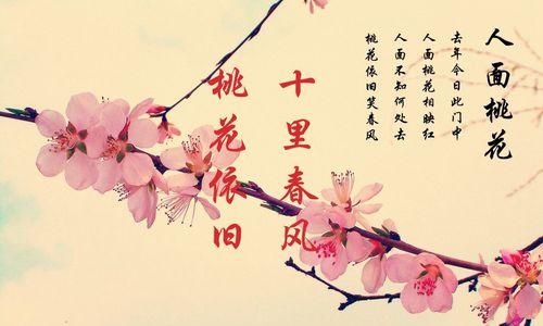 网易云音乐花语表达的是什么？