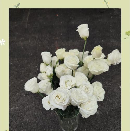 白色秸梗的花语是什么？