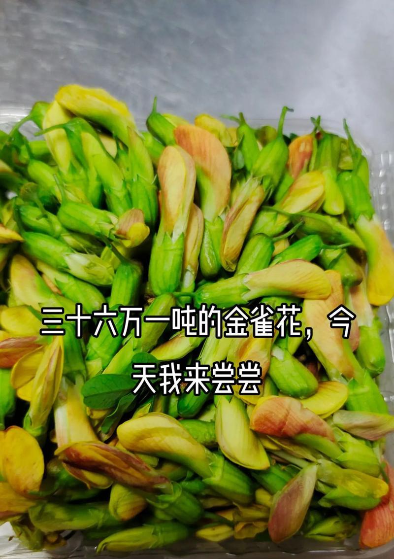 金雀儿花的花语代表什么含义？