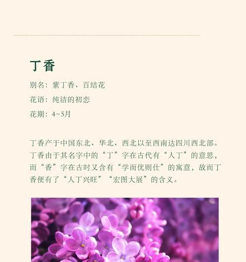 古诗花木的花语是什么意思？