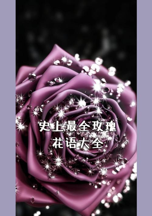 玫瑰盆栽的花语是什么？