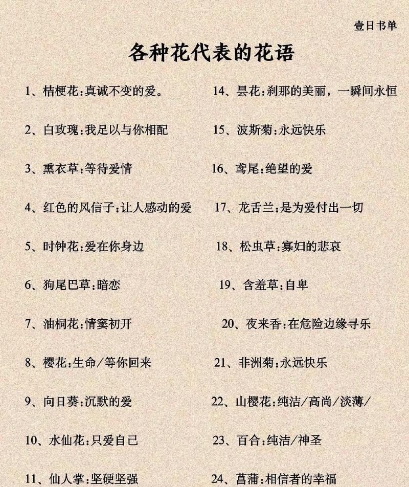 同性花语的花代表什么？