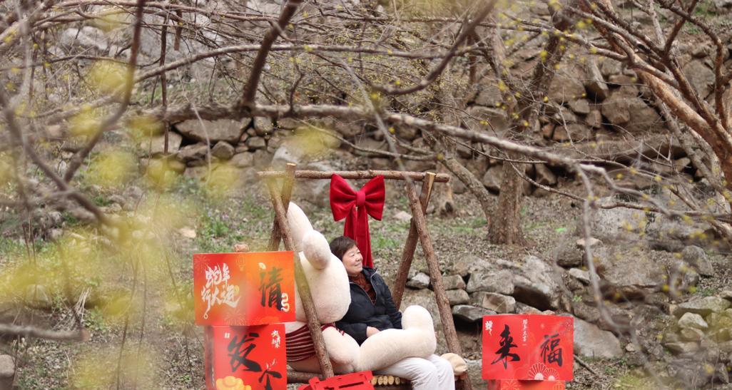 红茱萸的花语是什么？如何表达爱意？