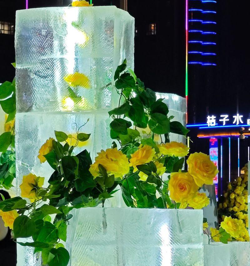 哪种花代表宽恕？宽恕你的花语有何深意？