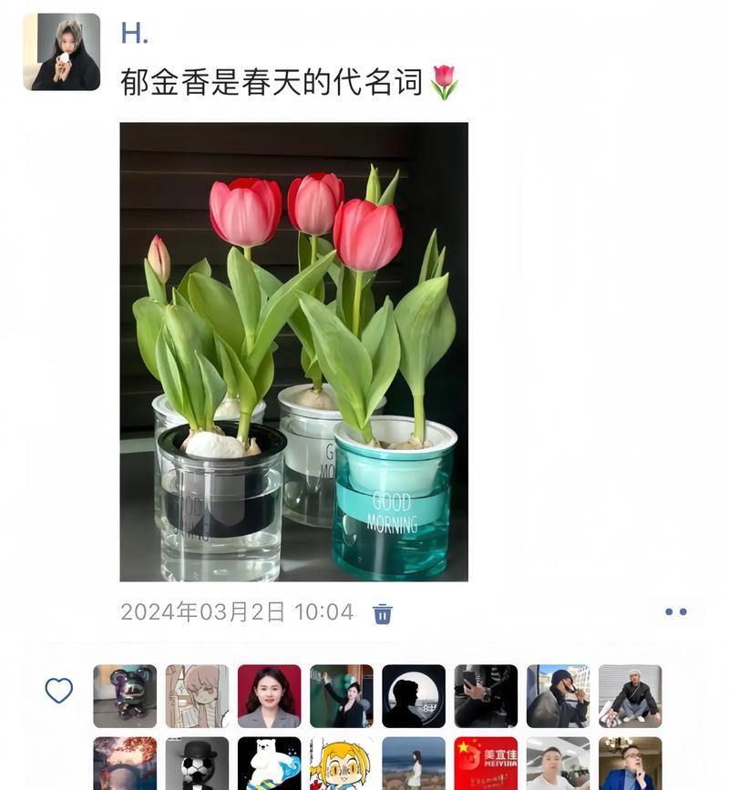十养花的花语是什么？适合送给谁？