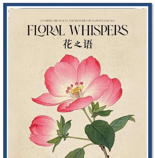 仙人山的花语是什么？如何理解其深层含义？