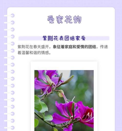 凤眼蓝的花语是什么？它在自然界中扮演什么角色？