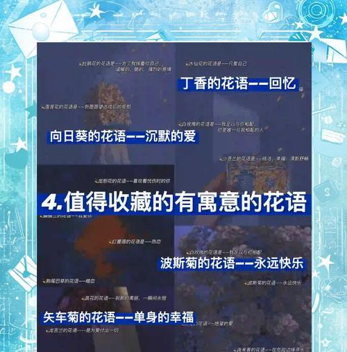 暗红蔷薇花语代表了什么？