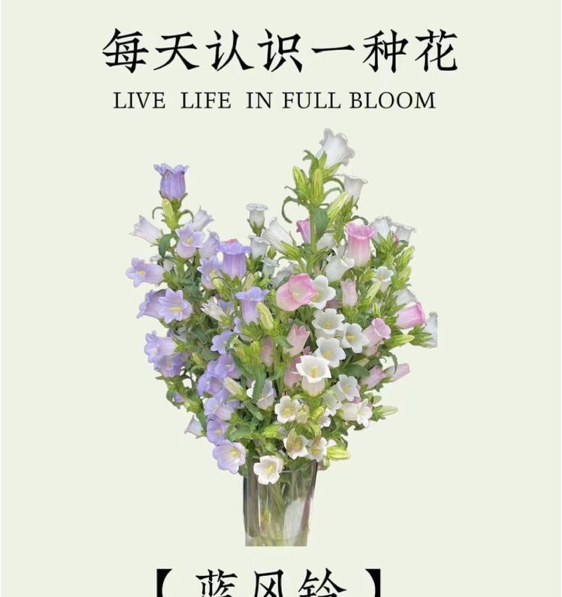 倾草花的花语有哪些含义？