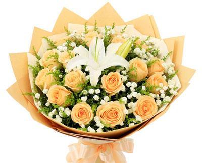 香槟菊花花语有哪些含义？