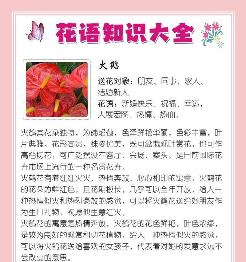 红掌火鹤花语是什么意思？