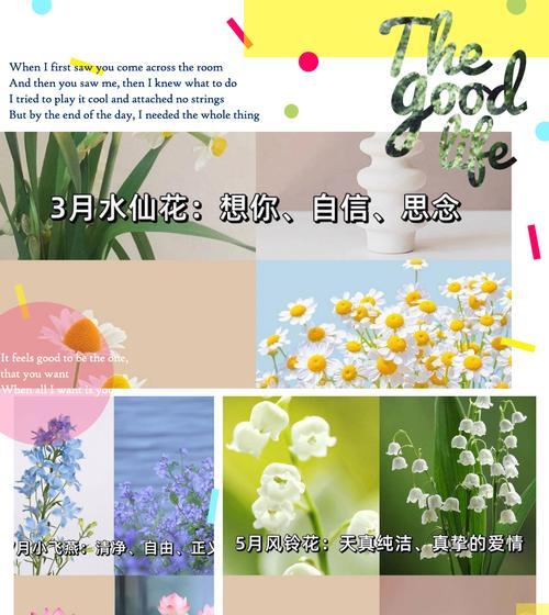 风铃果花花语是什么？如何理解其深层含义？