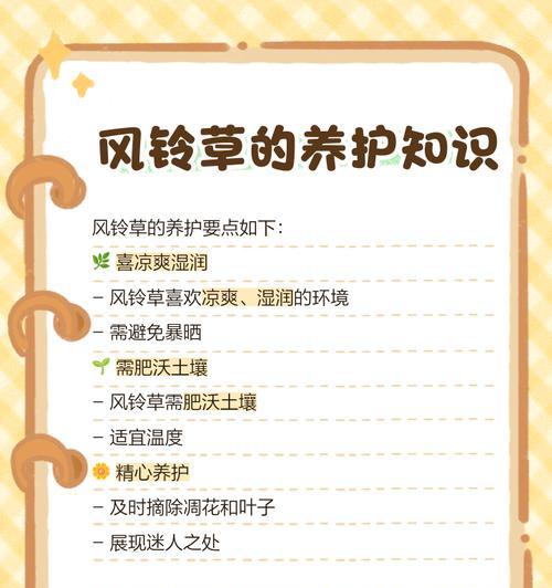 风铃果花花语是什么？如何理解其深层含义？