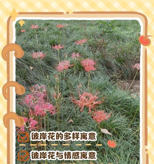 花作为象征时，其花语通常表达什么？