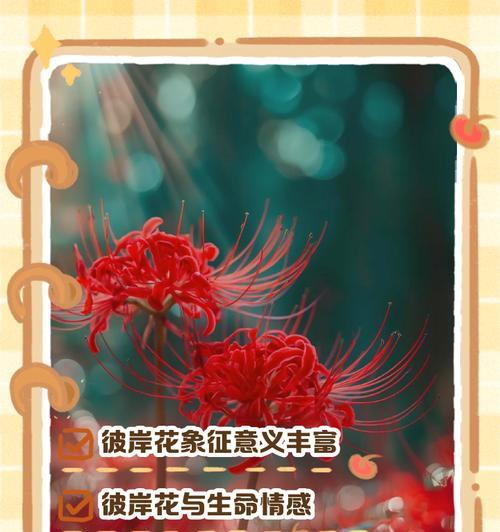 花作为象征时，其花语通常表达什么？
