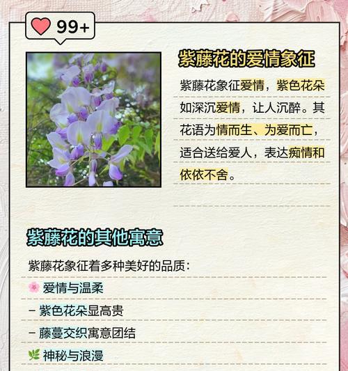 花作为象征时，其花语通常表达什么？