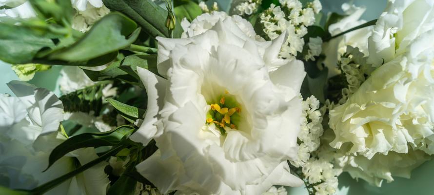 哪些花的花语表达了伤感情绪？它们代表什么？