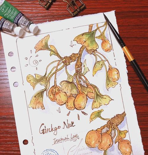 银杏花的花语是什么？它有何特别之处？