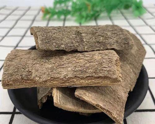 鸭脚木皮的花语有哪些？它象征着什么？
