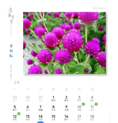 千岛花的花语是什么？它在不同场合下代表什么？