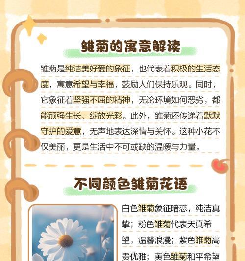 干菊花的花语有哪些？它在传统习俗中扮演什么角色？