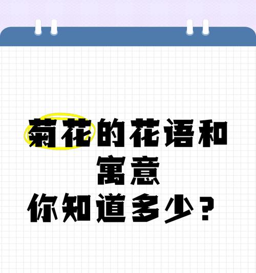 黄绿菊花的花语有哪些？它在花卉文化中代表了什么？