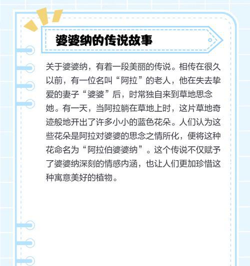 真婆婆纳的花语是什么？它在植物界中有哪些象征意义？