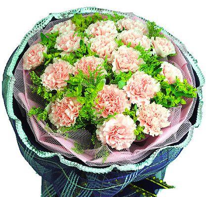 黄樱草花花语有何含义？