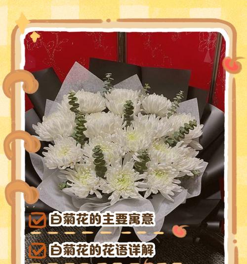葬礼菊花花语是什么？