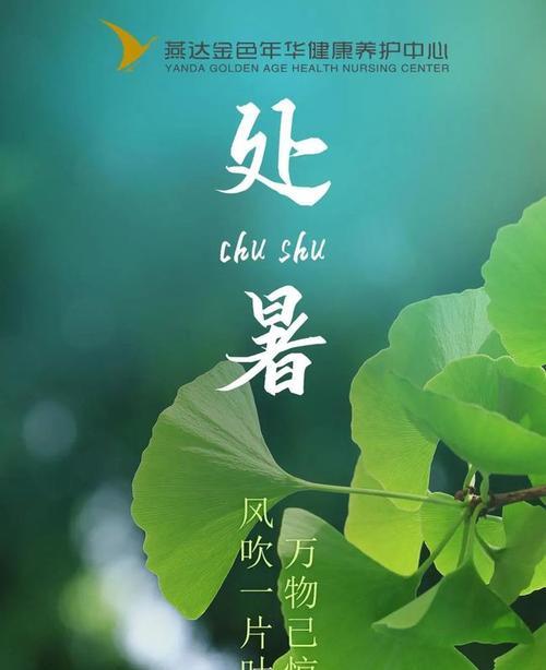 荷花竹的花语有哪些含义？如何养护？