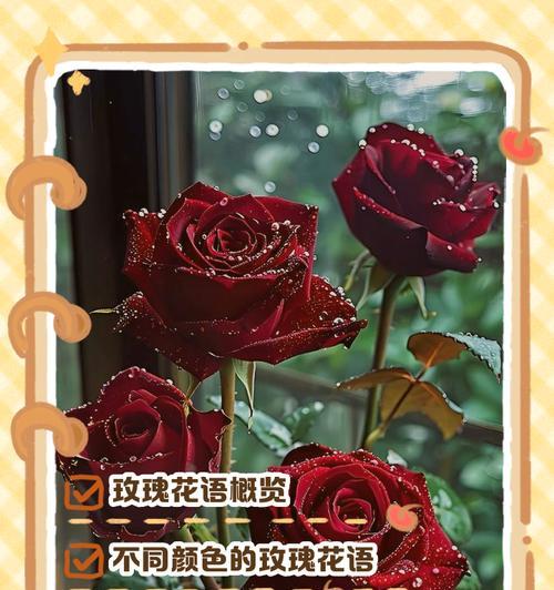 花的恋爱花语有哪些？如何表达情感？