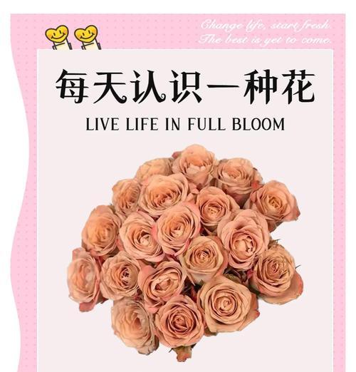 哪种花的花语代表最无私？如何传递爱？