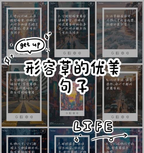 关于草的花语有哪些？如何用草表达情感？