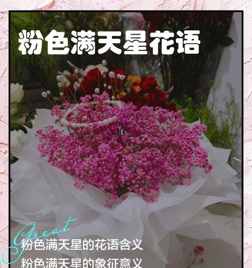 星王子的花语有何深意？如何用星王子花表达爱意？