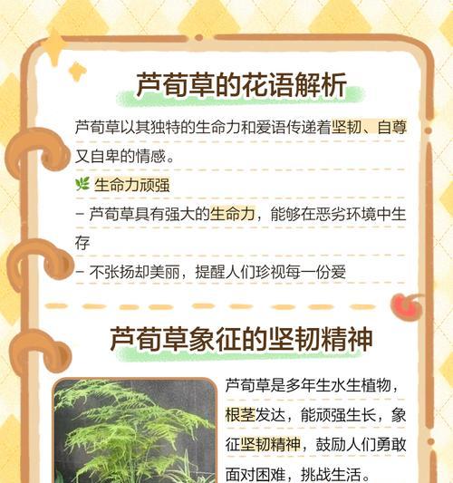 花语中矛盾的爱如何表达？矛盾的爱花语有哪些？
