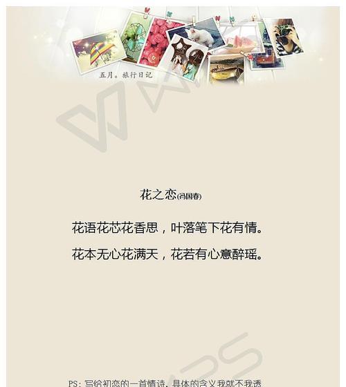 叶落生根的花语是什么？叶落生根象征着什么？