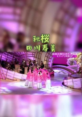 粉色秋樱的花语是什么？粉色秋樱代表什么？