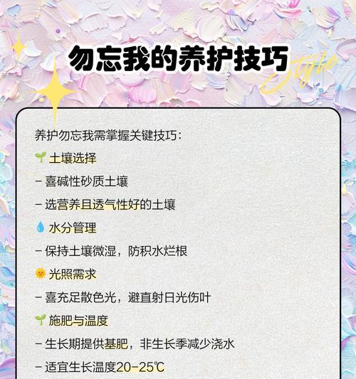 花语与季节日期有何关联？如何根据日期选择花语？