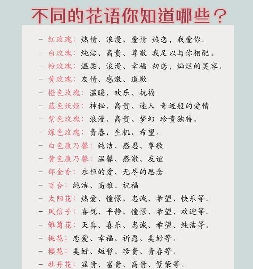 花语与季节日期有何关联？如何根据日期选择花语？
