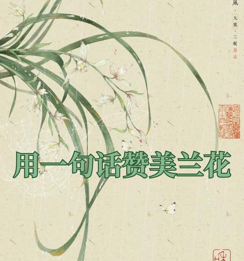嫁接兰花的花语是什么？嫁接兰花有何特别寓意？