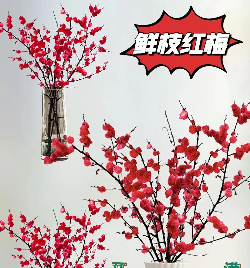 水梅花的花语有哪些？水梅花代表什么？