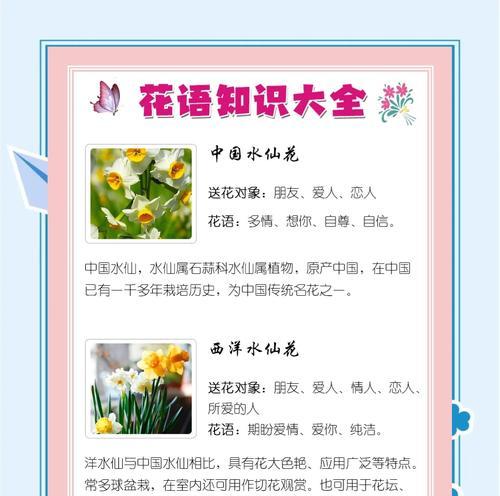 水梅花的花语有哪些？水梅花代表什么？