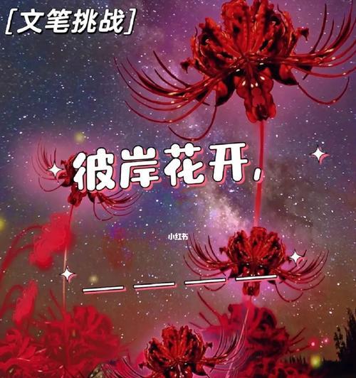 彼岸花的花语是什么？彼岸花有哪些特别含义？